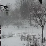 Danti La Giara Santa Fiora