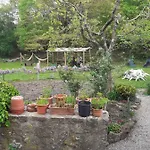 Danti La Giara