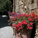 Danti La Giara